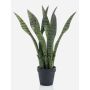 Planta artificial de sansevieria POLIANA, verde, 50cm