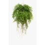 Cesta colgante de helecho de boston artificial NILO, en tierra, raíces, 75cm, Ø55cm
