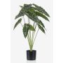 Alocasia sanderiana artificial FIORELLA, verde, 80cm