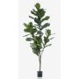 Ficus lyrata artificial ENRIKO, tronco falso, verde, 150cm