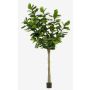 Ficus lyrata artificial ENRIKO, tronco falso, verde, 300cm