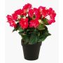 Begonia artificial DOBRADA, fucsia, 30cm