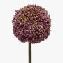 Allium de plástico BOUTROS, violeta, 75cm