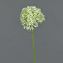Allium artificial ARNAU, crema-verde, 60cm