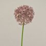 Allium artificial ARNAU, rosa, 60cm