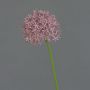 Allium artificial ARNAU, violeta, 60cm