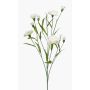 Flor artificial de clavel KANO, crema, 70cm