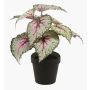 Begonia rex artificial MEIRA, verde-rosa, 25cm