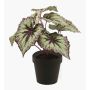 Begonia rex artificial MEIRA, verde-violeta, 25cm