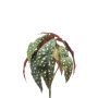 Begonia maculata artificial ELISEIA en vara de ajuste, verde-blanco, 30cm