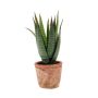 Aloe variegata artificial MARTINEZ en maceta de terracota, verde, 20cm, Ø17cm