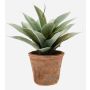 Agave de plástico DESIREE en maceta de terracota, verde, 20cm, Ø25cm