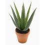 Aloe variegata artificial MARTINEZ, maceta de terracota, verde, 30cm, Ø17cm