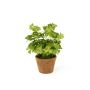 Planta artificial de trébol NICCOLO en maceta decorativa, verde, 25cm