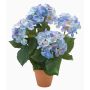 Hortensia artificial JONE en maceta de arcilla, azul, 40cm
