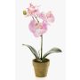 Orquídea phalaenopsis artificial SETH en maceta decorativa, rosa, 25cm