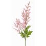 Astilbe falso AURIE, rosa, 95cm, Ø12-14cm