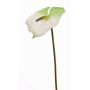 Anthurium artificial MOIRA, blanco-verde, 75cm, 13x18cm