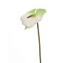 Anthurium artificial MOIRA, blanco-verde, 75cm, 13x20cm