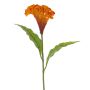 Celosia cristata artificial ANUBIS, naranja, 60cm, Ø13cm
