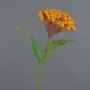Celosia cristata artificial ANUBIS, naranja, 60cm, Ø13cm