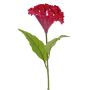 Celosia cristata artificial ANUBIS, rojo, 60cm, Ø13cm