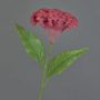 Celosia cristata artificial ANUBIS, rojo, 60cm, Ø13cm