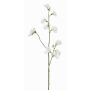 Flor artificial Lathyrus ASFALOTH, blanca, blanco, 65cm, Ø3-5cm