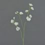 Flor artificial Lathyrus ASFALOTH, blanca, 65cm