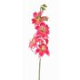 Lirio de tigre falso ASHANTI, fucsia, 60cm, Ø10cm