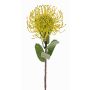 Protea artificial BAILY, amarillo-verde, 55cm, Ø10cm