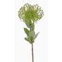 Protea artificial BAILY, verde, 55cm, Ø10cm