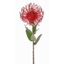Protea artificial BAILY, rojo, 55cm, Ø10cm