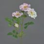 Rosa silvestre artificial BALOU, blanco-rosa, 60cm, Ø7-9cm