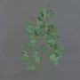 Rama artificial de eucalipto COBAR con flores, zonas resguardadas, verde, 65cm