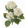 Hortensia artificial SAIRA, en vara de fijación, zonas resguardadas, crema, 40cm, Ø11-13cm