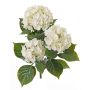 Hortensia artificial SAIRA, en vara de fijación, zonas resguardadas, crema, 40cm, Ø11-13cm