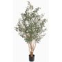 Olivo artificial ROY, troncos reales, zonas resguardadas, 165cm