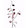 Rama de lunaria artificial SALEM, rojo-plata, 90cm