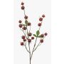 Rama decorativa de rosa silvestre BREVON con escaramujos, roja, 80 cm