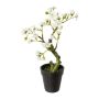 Árbol artificial de almendro OYOS en maceta decorativa, con flores, blanco, 26 cm