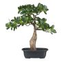 Árbol artificial bonsái ficus panda PIRAPE en bandeja decorativa, 35 cm