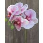 Rama artificial de Orquídea Phalaenopsis OPHELIA, fucsia-rosa, 40cm