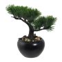 Árbol artificial bonsái pino FALKE con raíces, maceta de cerámica, 19 cm