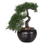 Árbol artificial bonsái cedro FALKE con raíces, maceta de cerámica, 25 cm