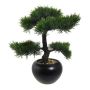 Árbol artificial bonsái cedro FALKE, maceta de cerámica, 35 cm