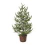 Árbol decorativo abeto MALKE en maceta decorativa, nevado, 65 cm