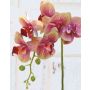 Rama artificial de Orquídea Phalaenopsis OPHELIA, fucsia-verde, 80cm