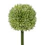 Flor decorativa Allium MENKES, verde, 65 cm