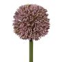 Flor decorativa Allium MENKES, lila, 65 cm